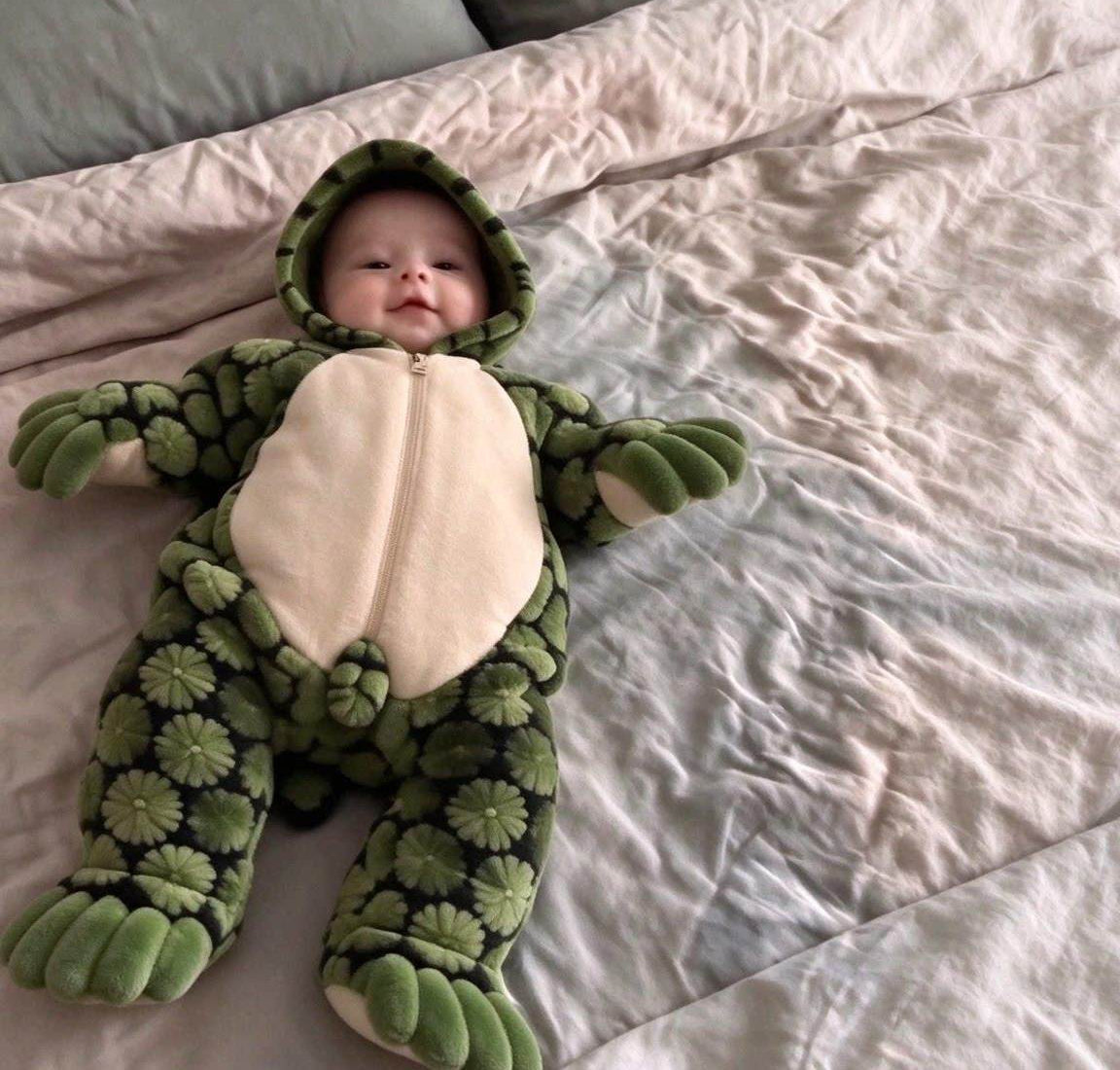 Combinaison tortue de face : capuche, ventre crème et fermeture éclair